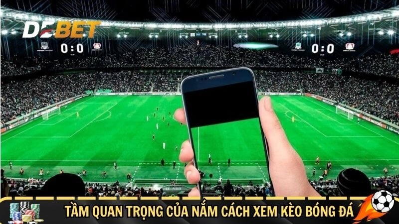 Tầm quan trọng của nắm cách xem kèo bóng đá