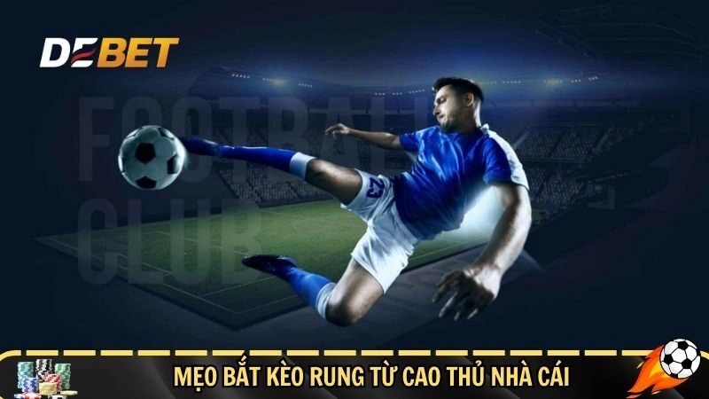 Mẹo bắt kèo rung từ cao thủ nhà cái